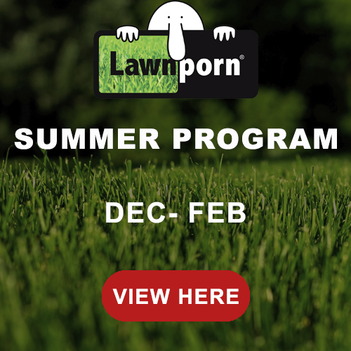 LAWNPORN SUMMER PROGRAM